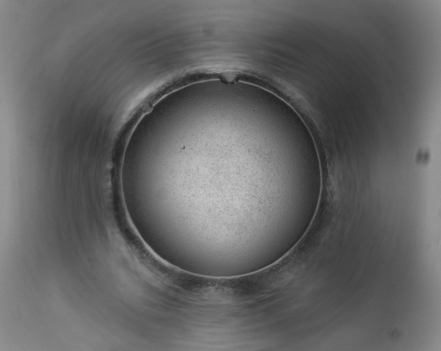 X0000112980535200909031111