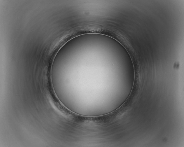 X0000112980538200909031111