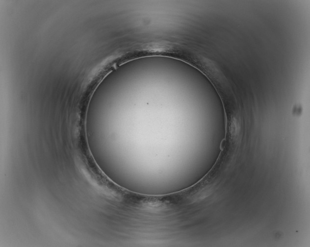 X0000112980540200909031111