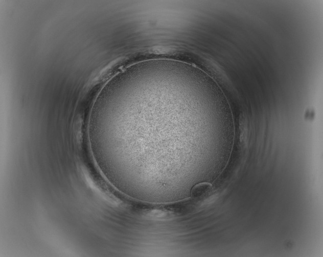 X0000112980542200909031111