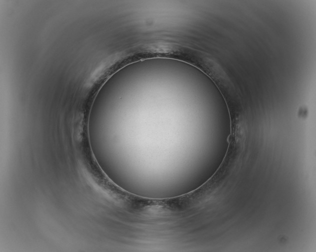 X0000112980544200909031111