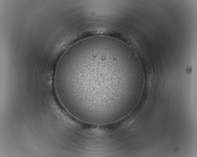 X0000112980545200909031111