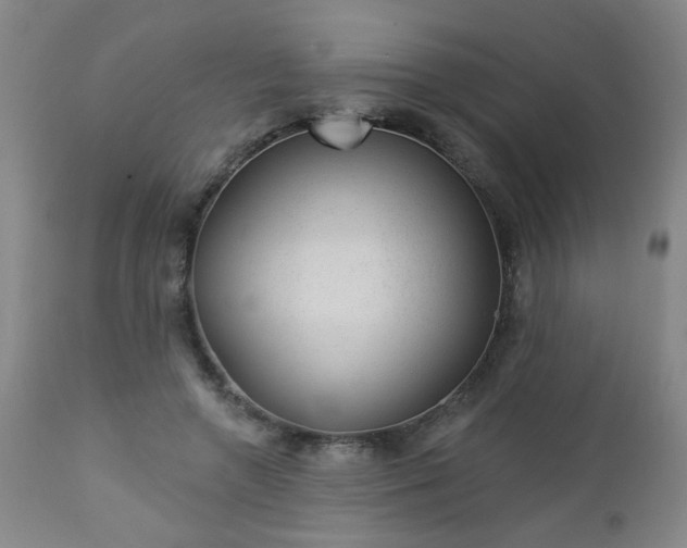 X0000112980546200909031111