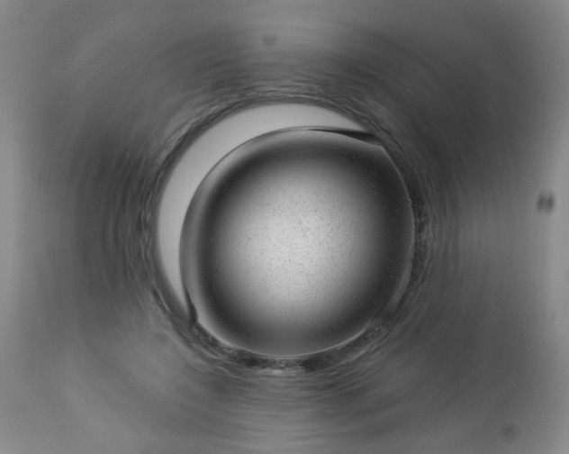 X0000112980548200909031111