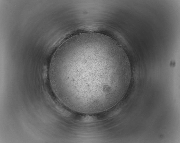 X0000112980549200909031111