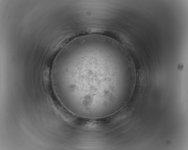 X0000112980550200909031111