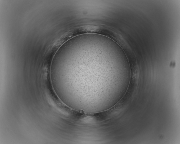 X0000112980551200909031111