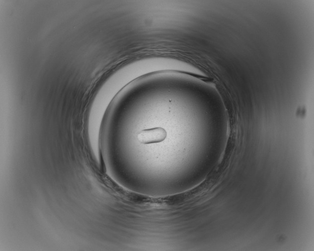 X0000112980552200909031111