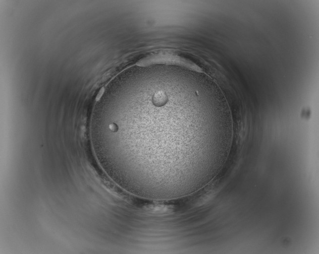 X0000112980553200909031111