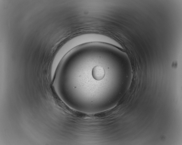 X0000112980556200909031111