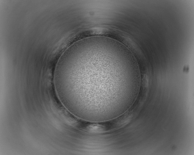 X0000112980557200909031111