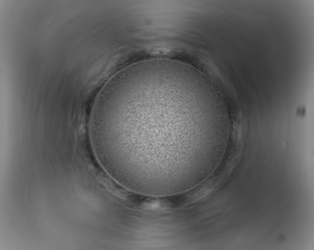 X0000112980561200909031111