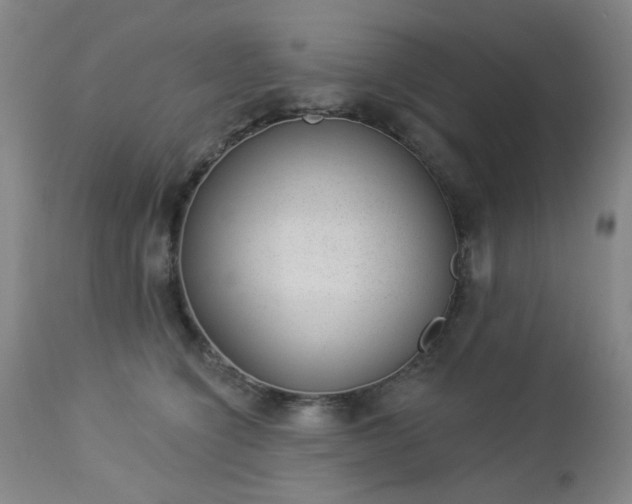 X0000112980564200909031111