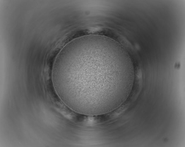 X0000112980565200909031111