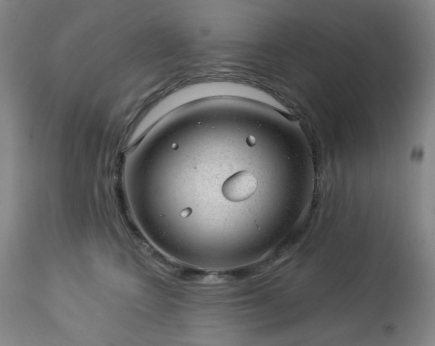 X0000112980566200909031111