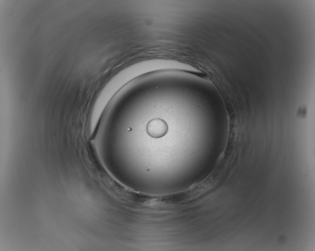 X0000112980568200909031111