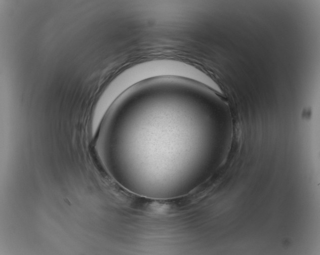 X0000112980570200909031111