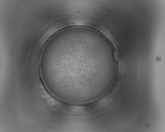 X0000112980577200909031111