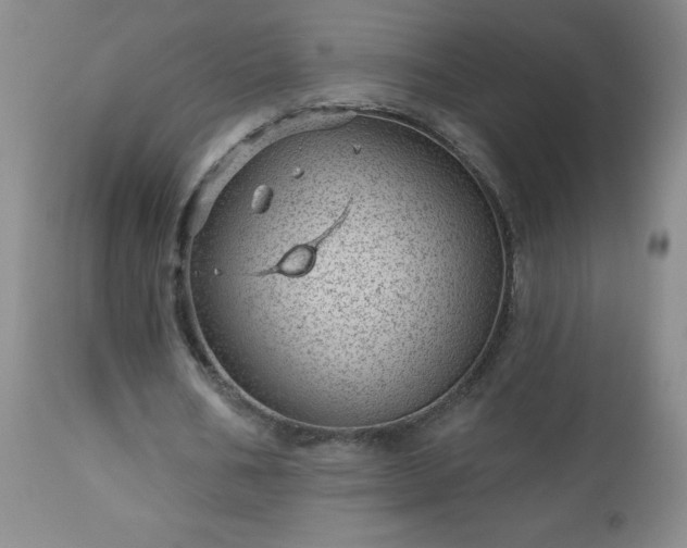 X0000112980578200909031111