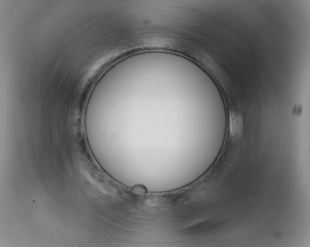 X0000112980579200909031111