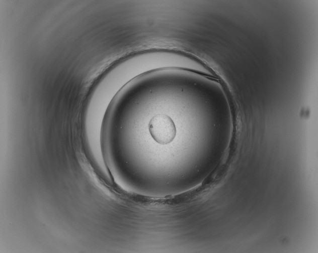 X0000112980581200909031111