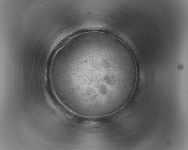 X0000112980582200909031111