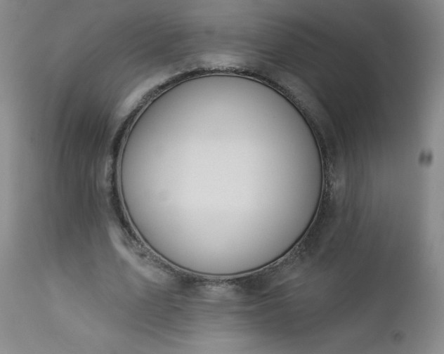 X0000112980583200909031111