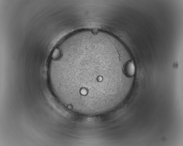 X0000112980584200909031111