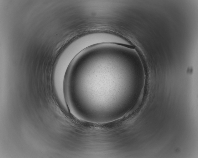 X0000112980585200909031111