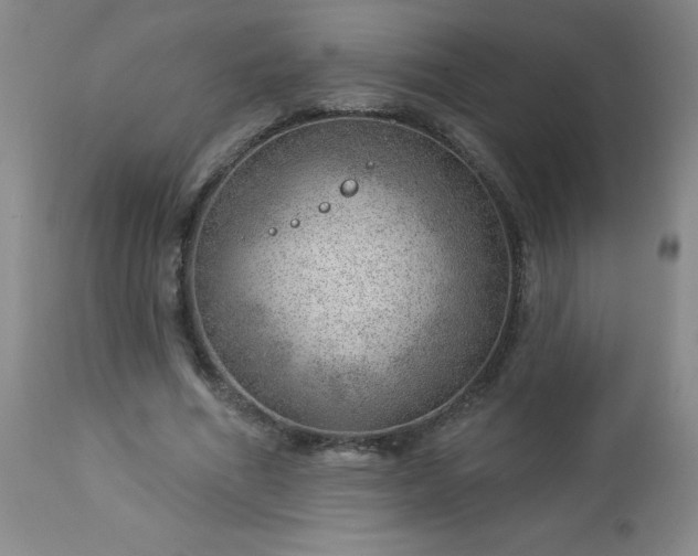 X0000112980586200909031111