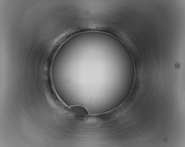 X0000112980587200909031111