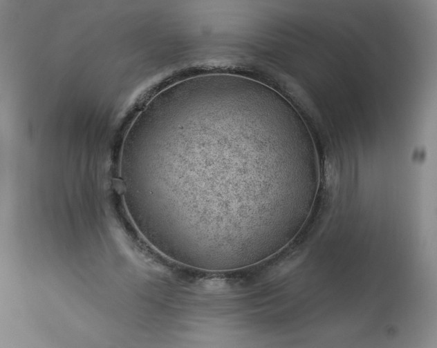 X0000112980588200909031111