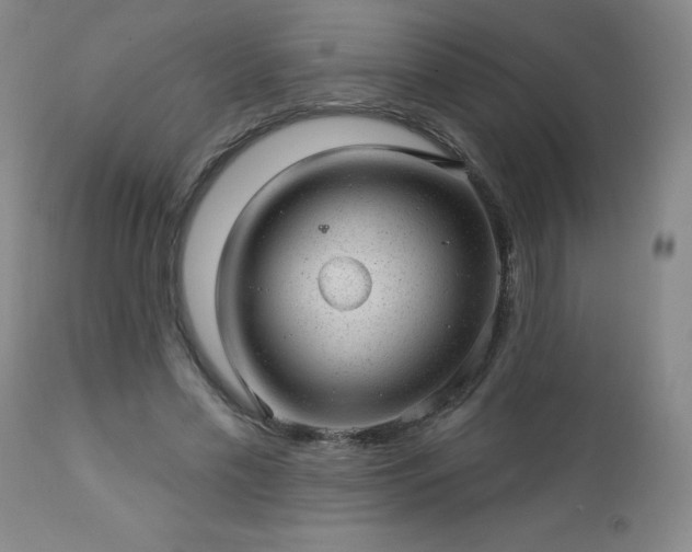 X0000112980589200909031111