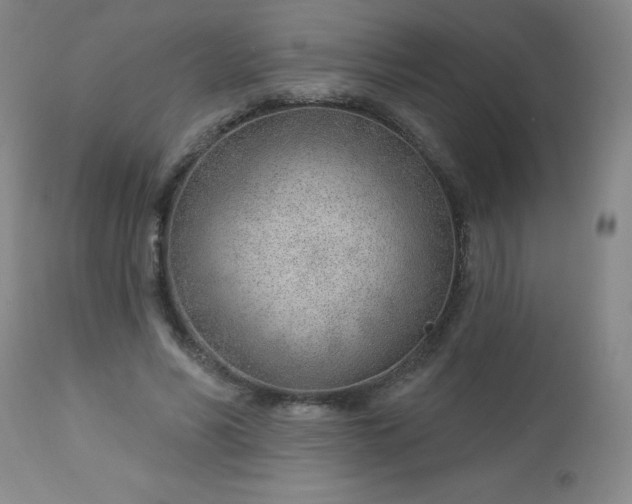 X0000112980590200909031111