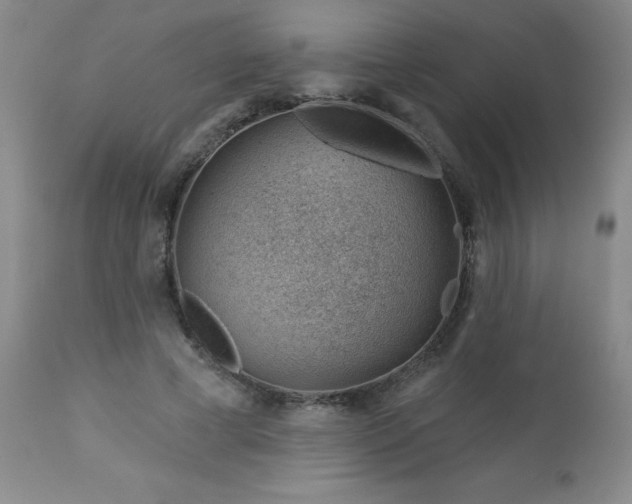 X0000112980593200909031111