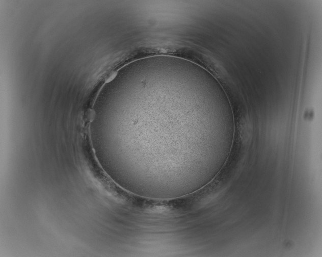 X0000112980594200909031111