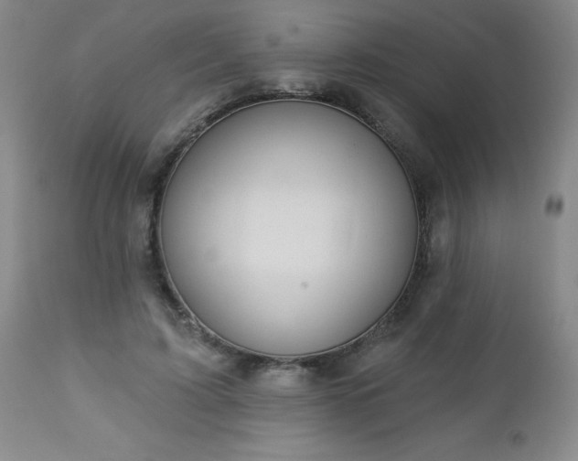 X0000112980595200909031111