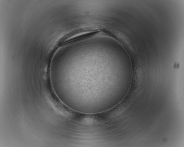 X0000112980596200909031111