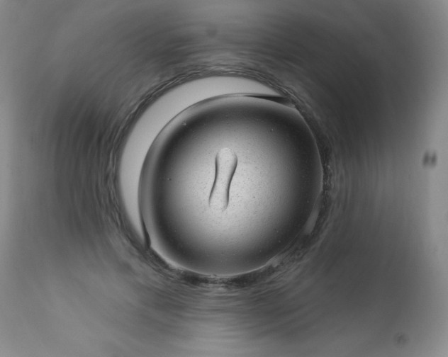 X0000112980597200909031111