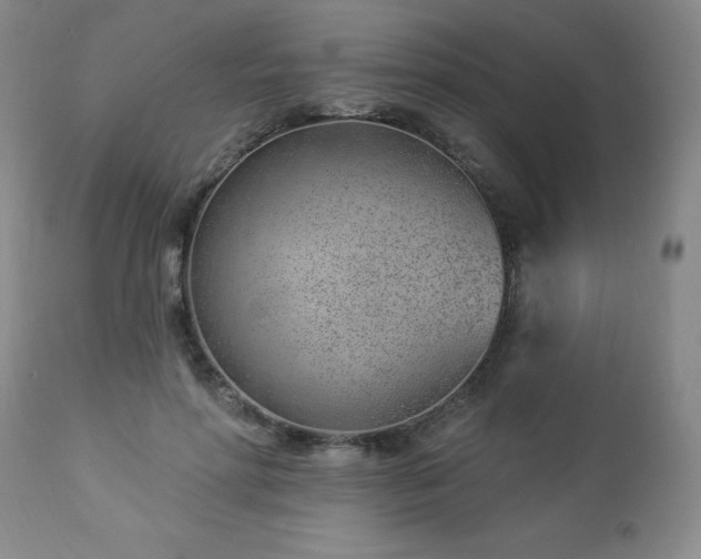 X0000112980598200909031111