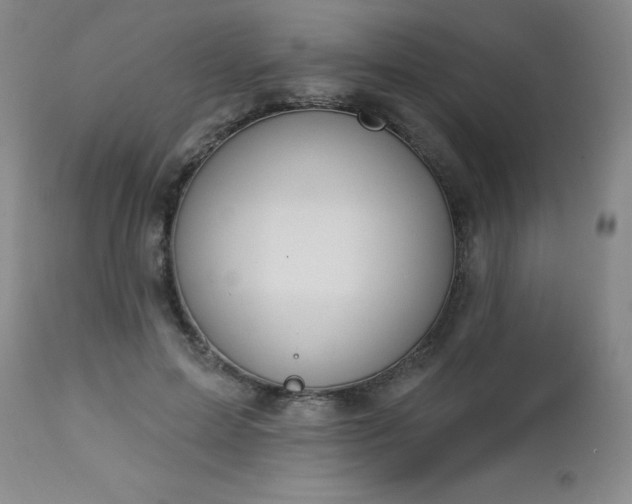 X0000112980599200909031111