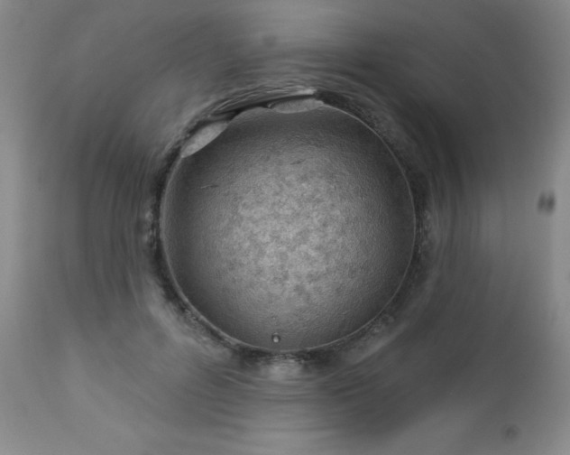 X0000112980600200909031111