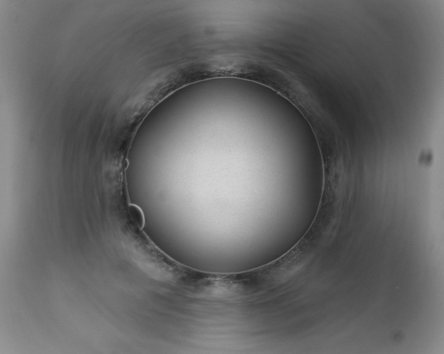 X0000112980601200909031111