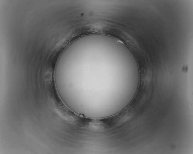 X0000112980603200909031111