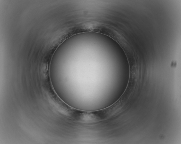 X0000112980605200909031110