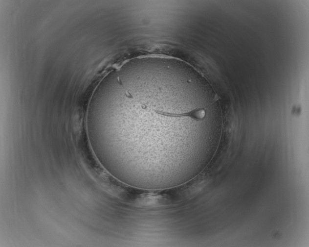 X0000112980607200909031110