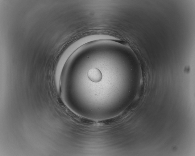 X0000112980609200909031110