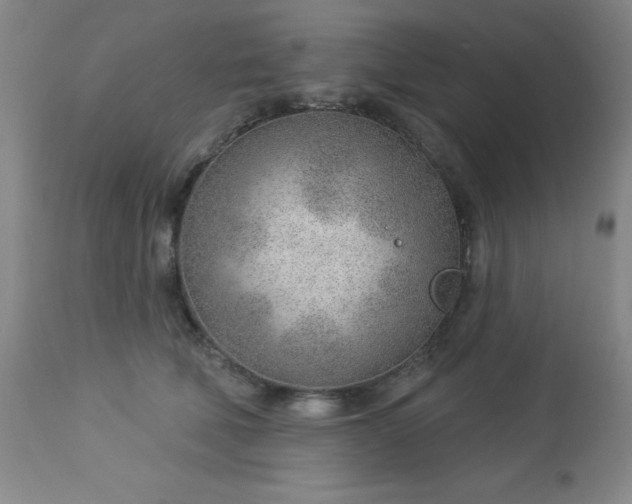 X0000112980610200909031110