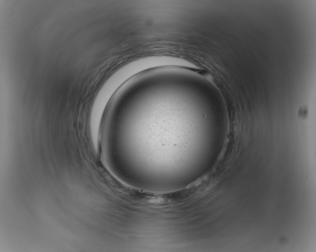 X0000112980611200909031110