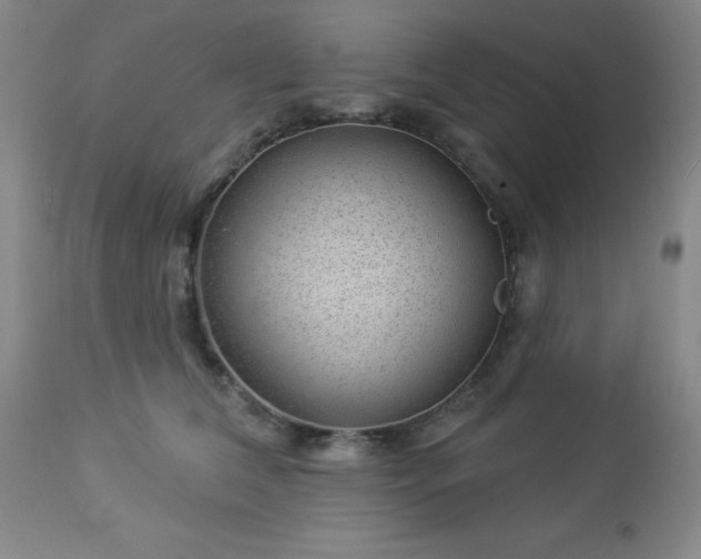 X0000112980612200909031110